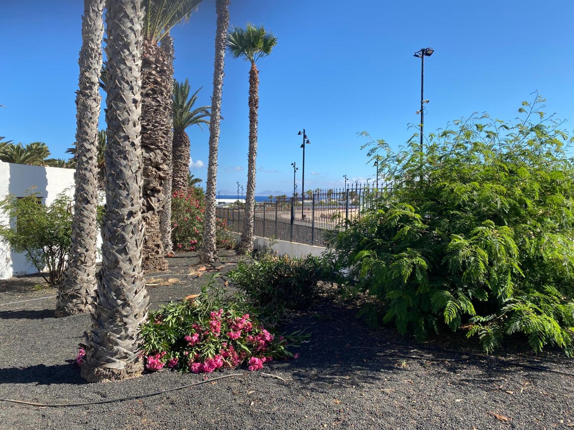 Las Brisas, Villa 94 普拉亚布兰卡 外观 照片